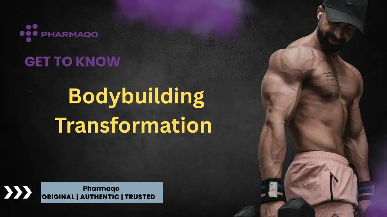 Bodybuilding Transformation