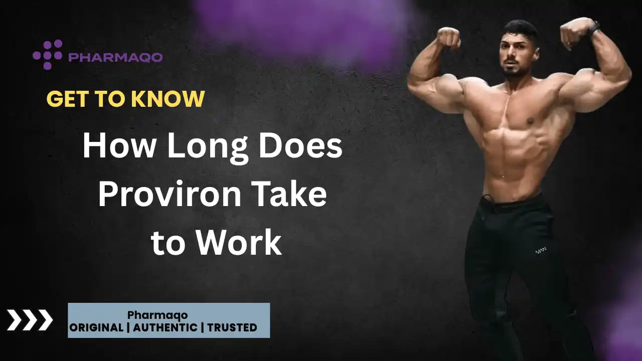 How Long Does Proviron Take to Work